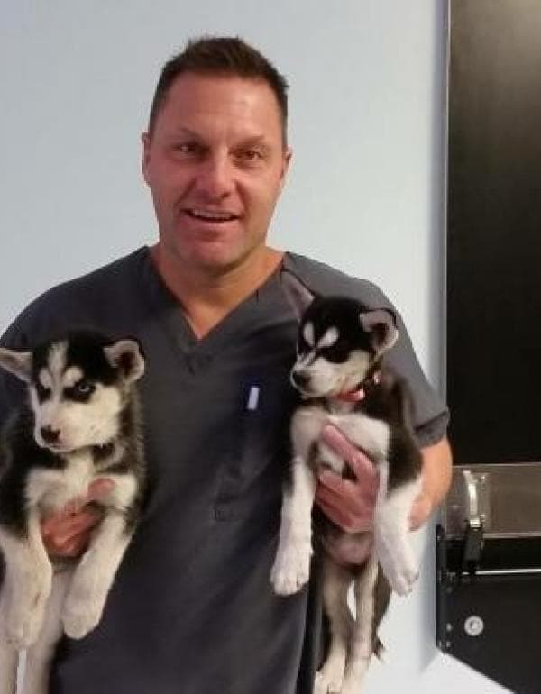 Dr. David Fogelberg DVM