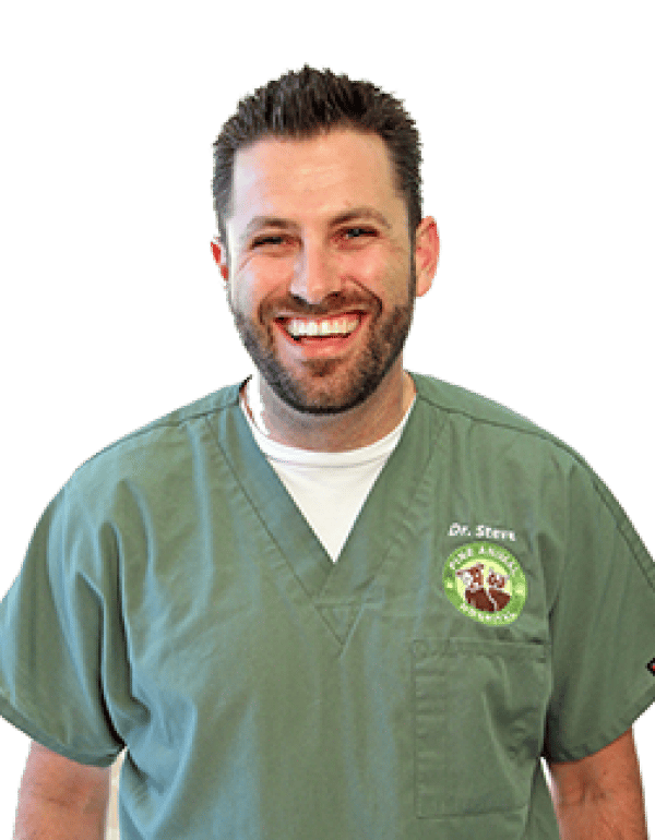Steve Manyak DVM