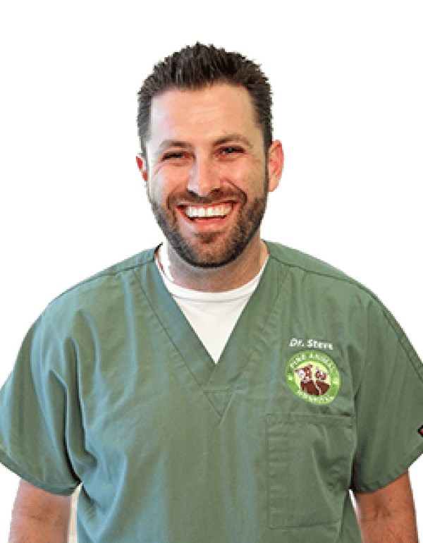 Steve Manyak DVM