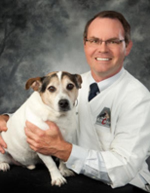 DR. STEPHEN DULLARD DVM