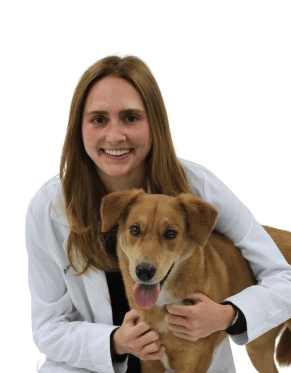 Emma Smith DVM