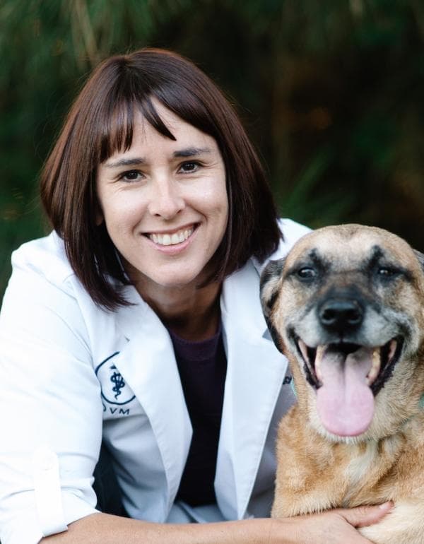 Stephanie Goodman DVM