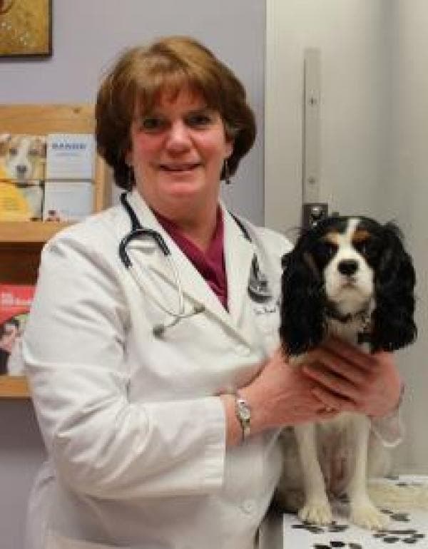 Jane Kirchhoffer VMD