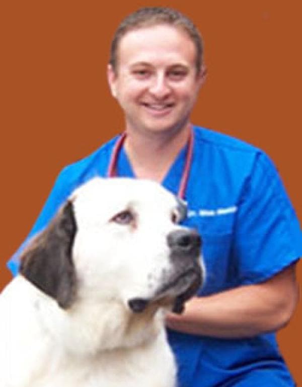 Dr. Max Merkin DVM