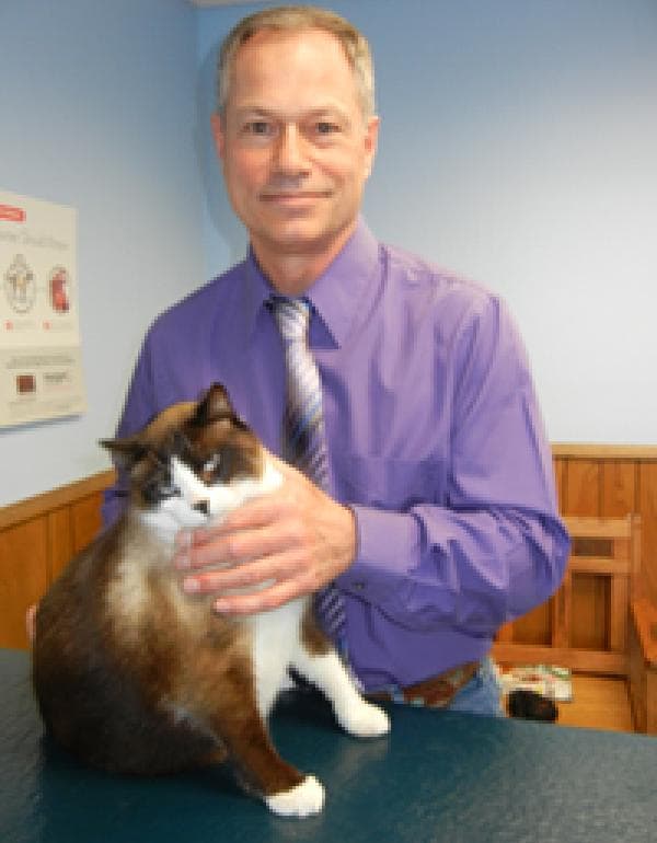 Dennis Katzer DVM