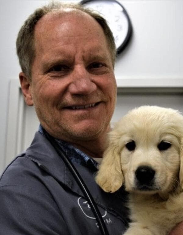 Michael Pfeifer DVM