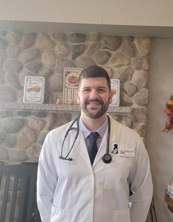 Dave Hutsebaut DVM