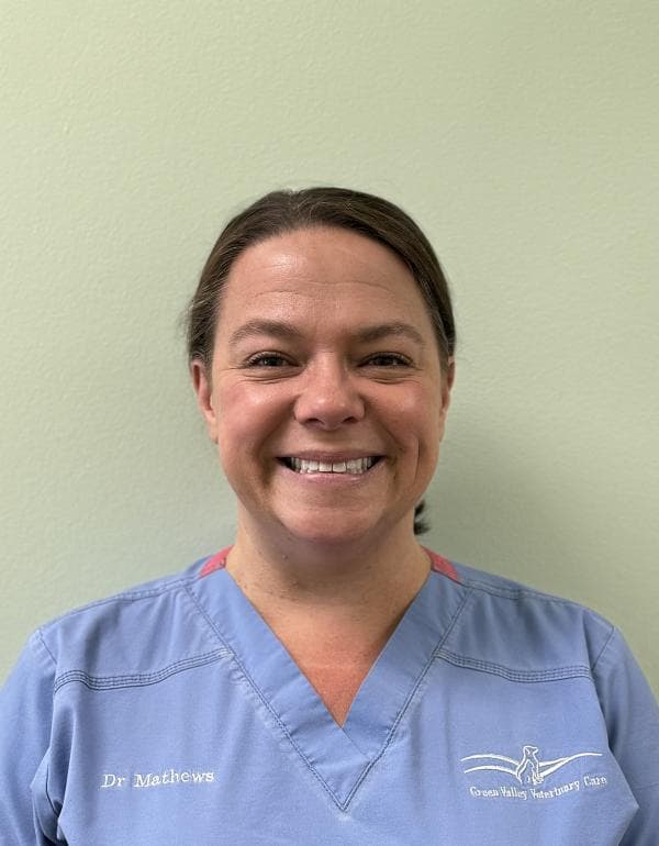 Lori Mathews DVM