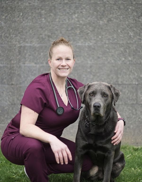 Sarah Dougherty DVM
