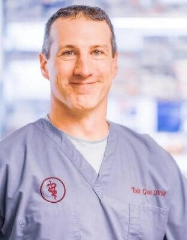 Todd Guay
