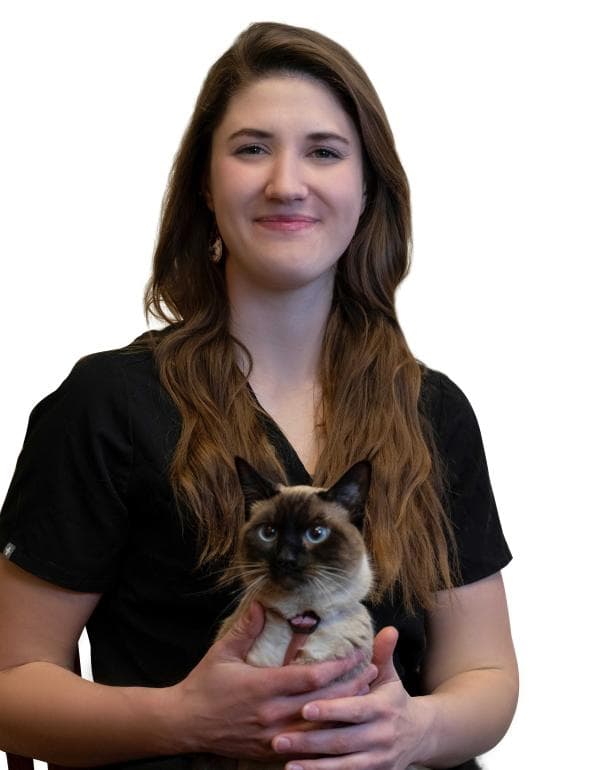 Jenn Dickinson DVM