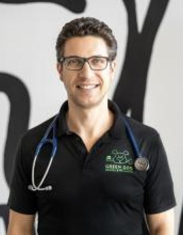 Michael Geist DVM, DACVIM