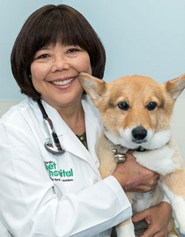 Dr. Pauline M. Koreyasu