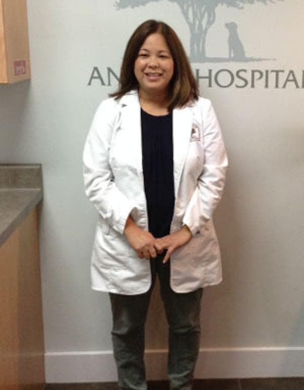Colleen Peat DVM, FFCP