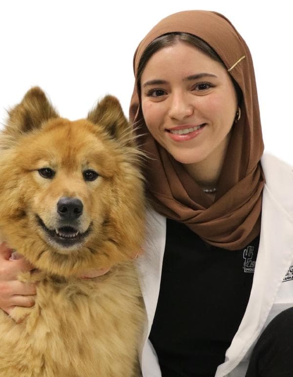 Hebah Mohamed DVM