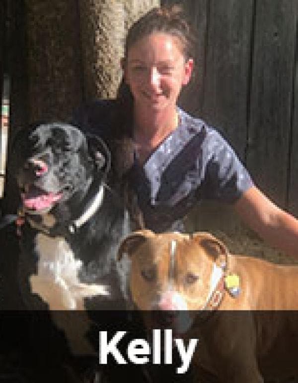 Kelly .