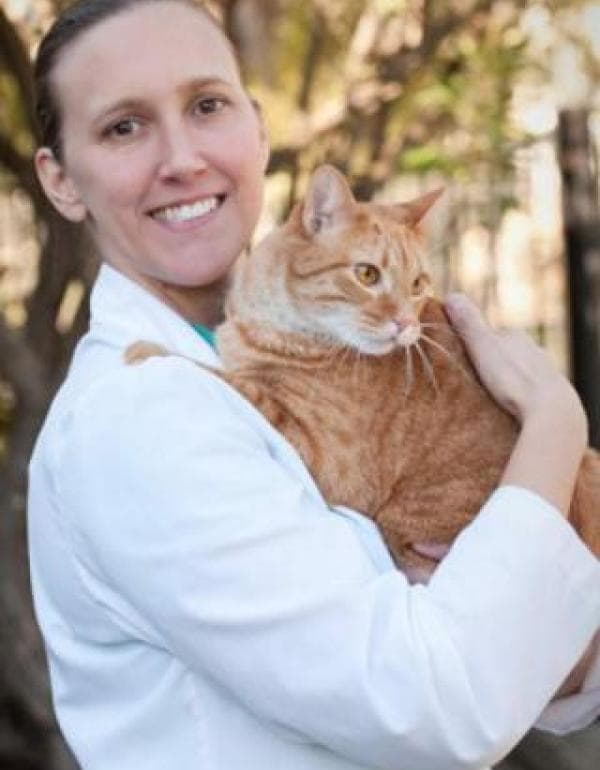 Laurie Zacher DVM, MS, DACVS-SA