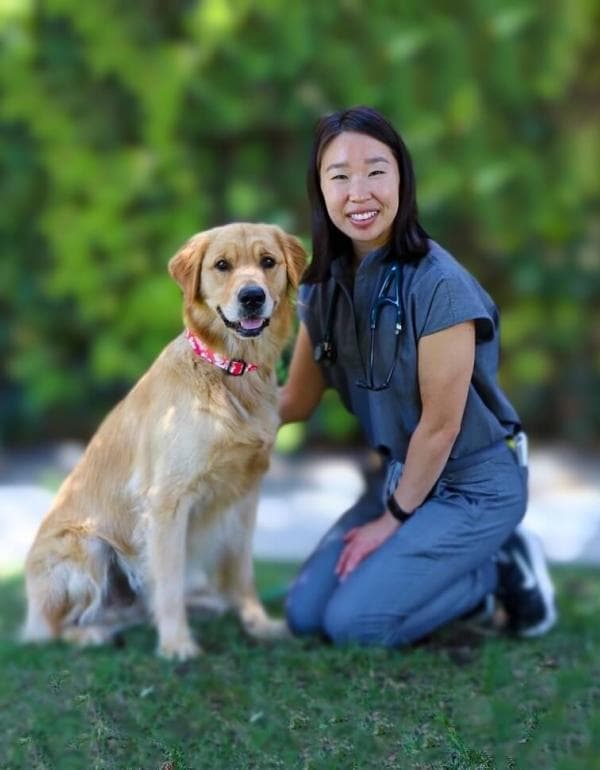 Claire Akashi, DVM