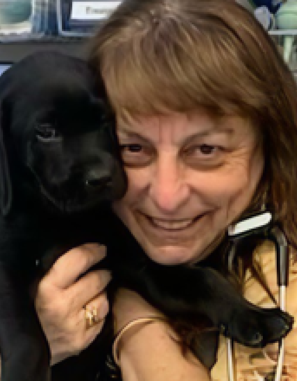 Dr. Sophia Papageorgiou DVM, MPVM, PhD