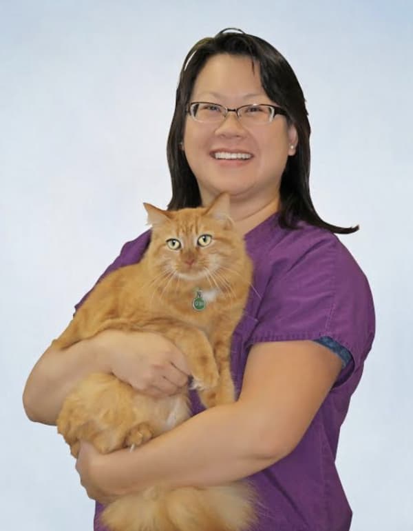 Jennifer Yip DVM
