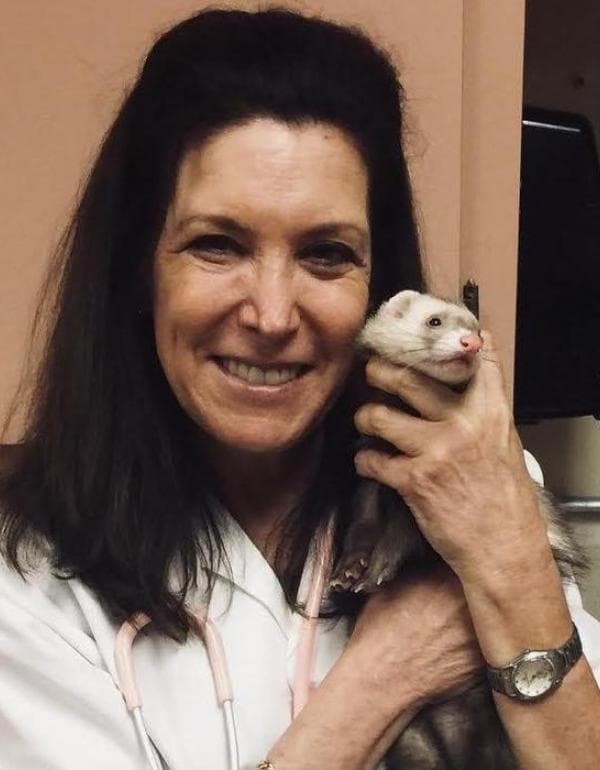 Teri Skadron DVM