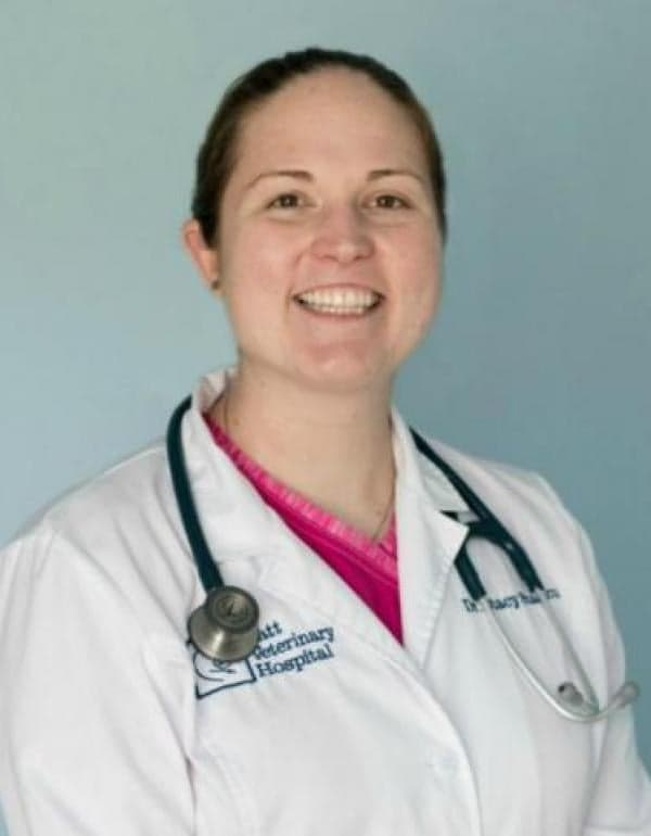 Stacy Stancu DVM