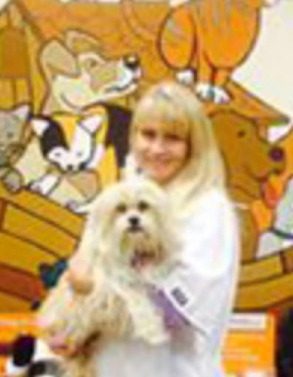 Tracy L. Taullie DVM