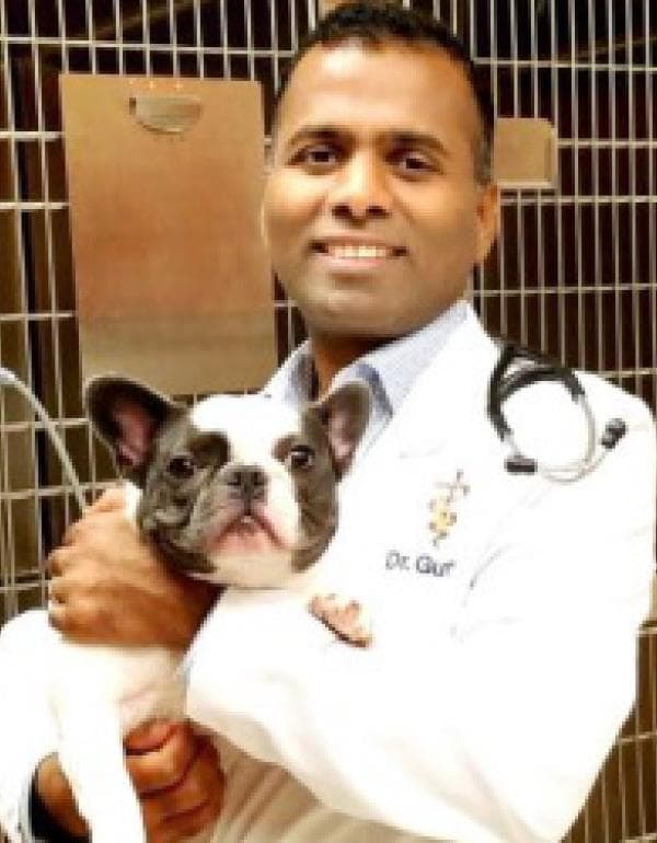 Venkat Gutta DVM