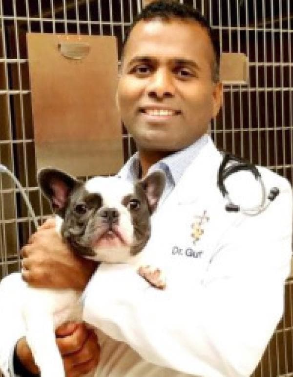 Venkat Gutta DVM