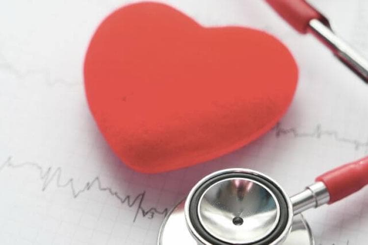 Dog cardiology guide