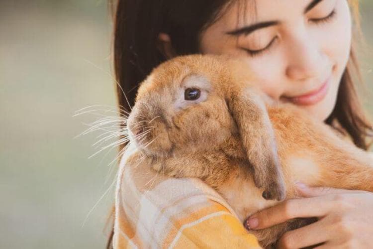Lop eared rabbit and owner.