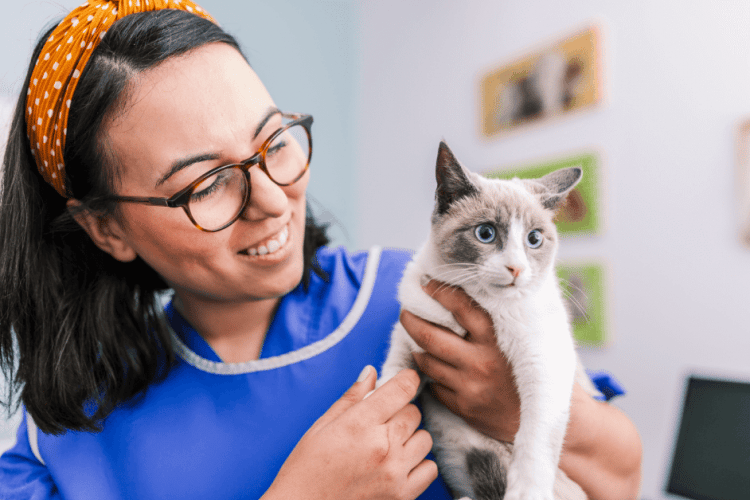 how to know you're getting good veterinary care