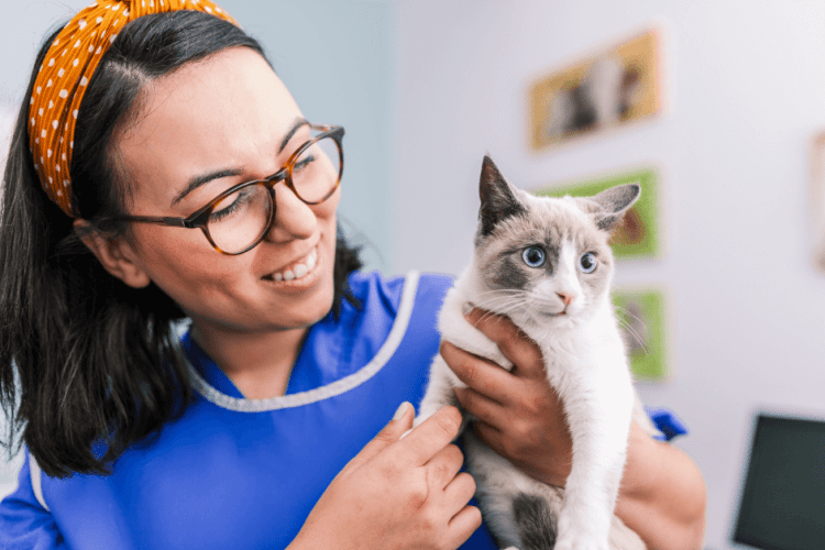 how to know you're getting good veterinary care