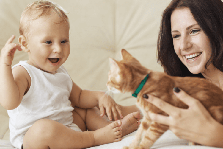 how to safely introduce pets and babies
