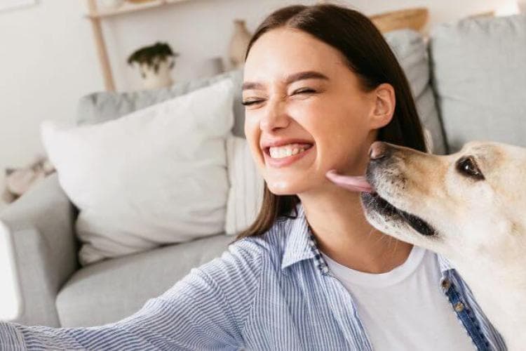 Pet Photography Tips to Take Your Pet Photos to the Next Level