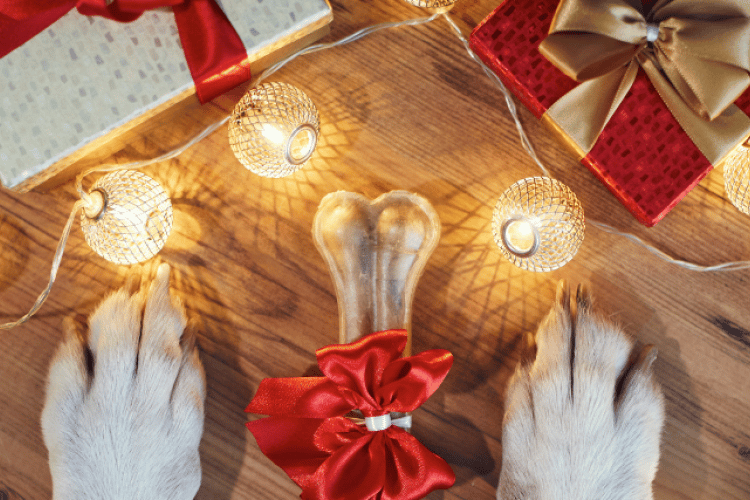 ultimate-gift-guide