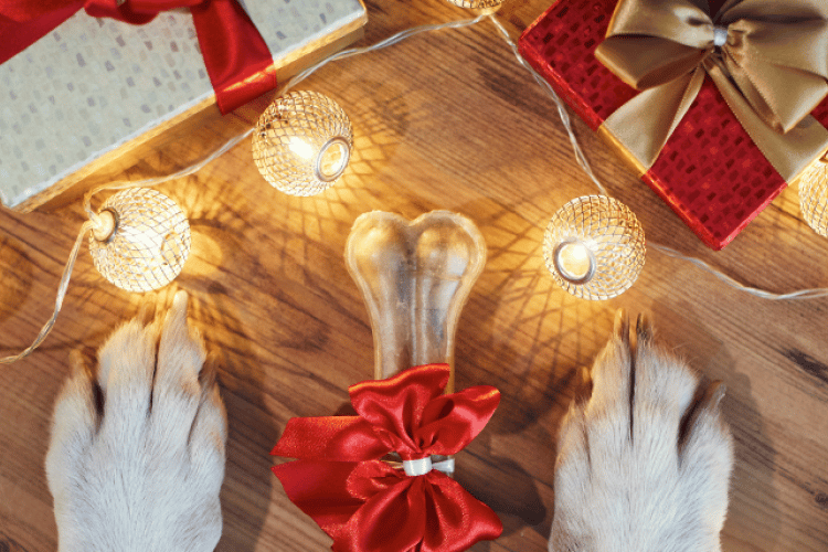 ultimate-gift-guide