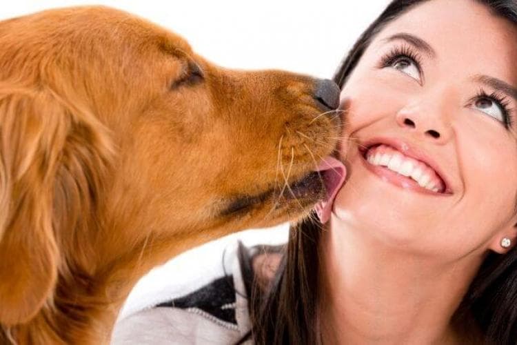 why dogs kiss us