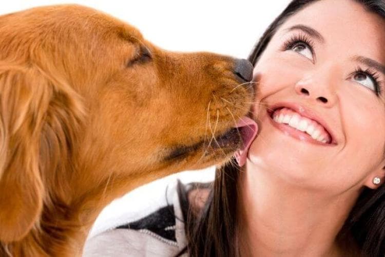 why dogs kiss us