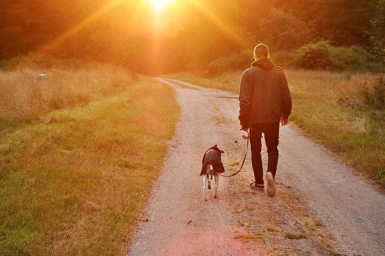 pet hospice care and euthanasia
