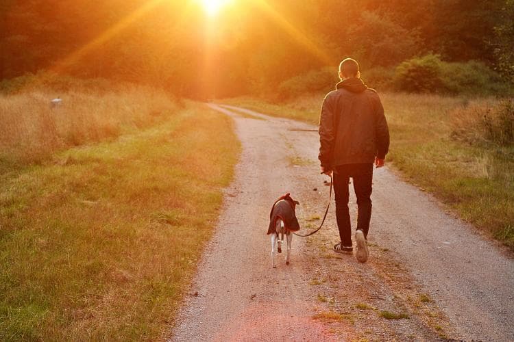 pet hospice care and euthanasia