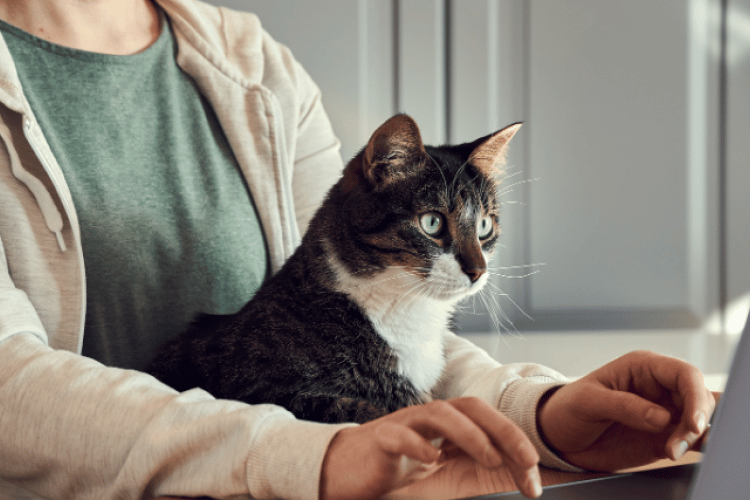 how to have success with take your pet to work day