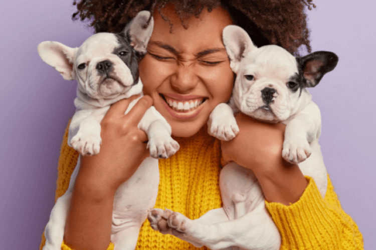 myths about dogs debunked