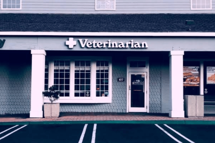 Irvine Valley Veterinary Hospital - Primary Care & Integrative Medicine - Veterinarian in Irvine, CA