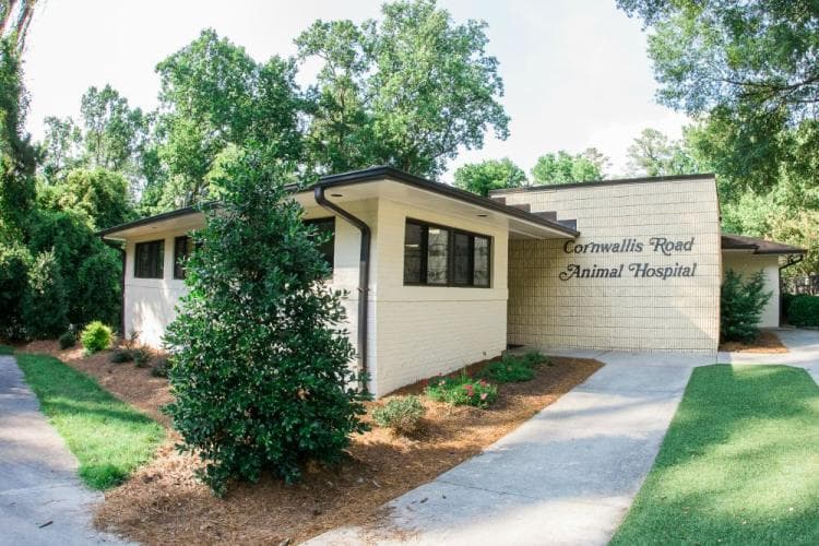 Vca timberlyne deals animal hospital