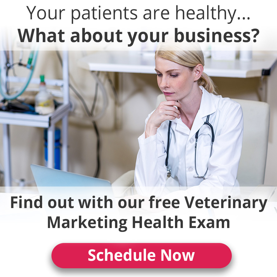 Schedule your GeniusVets Marketing Health Exam