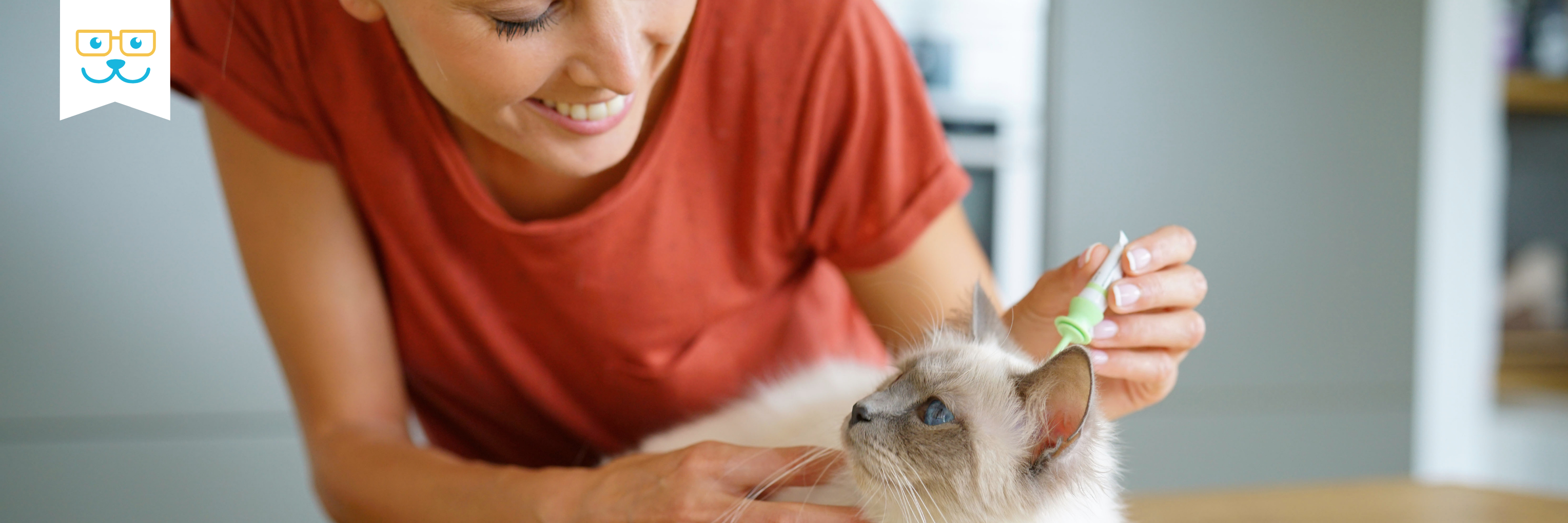 preventive care for cats
