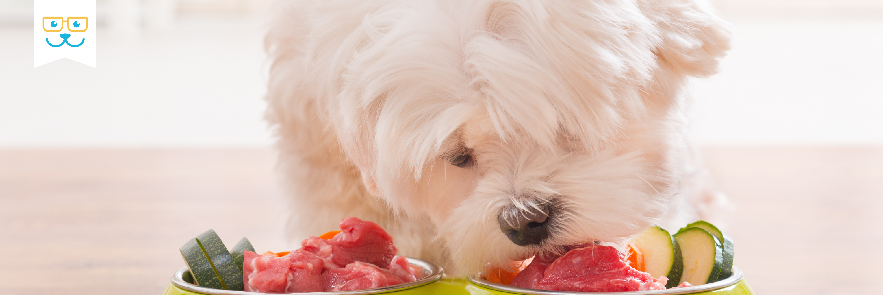 dog nutrition