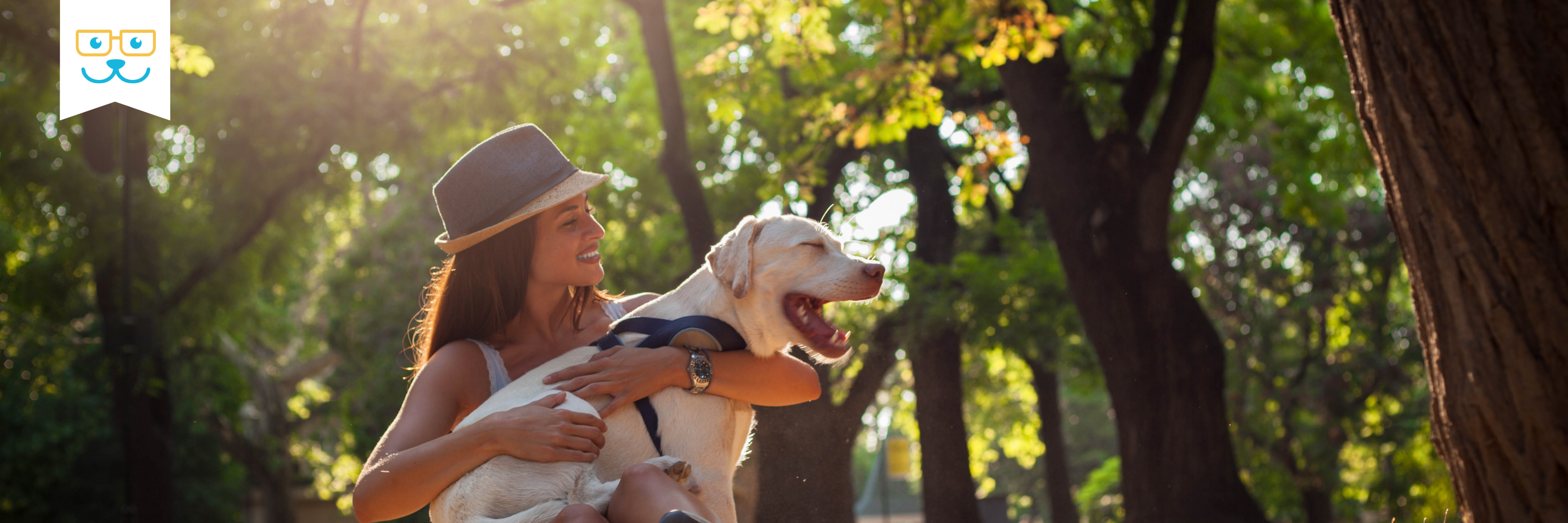 dog heartworm disease