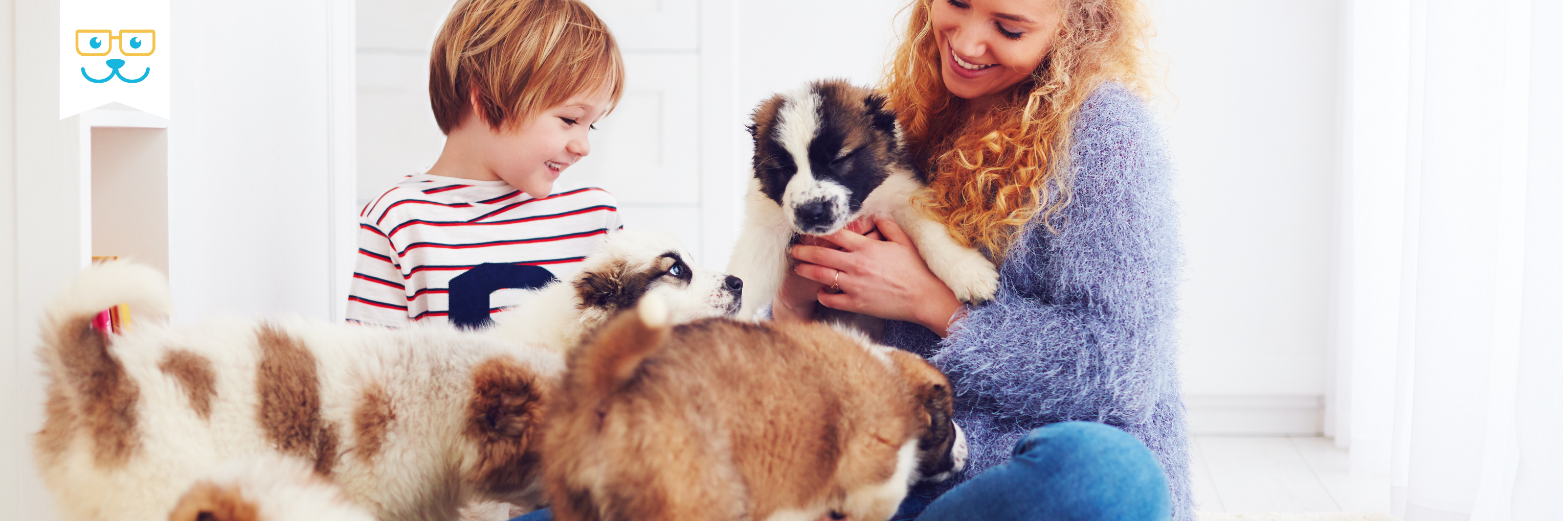 caring for your puppy